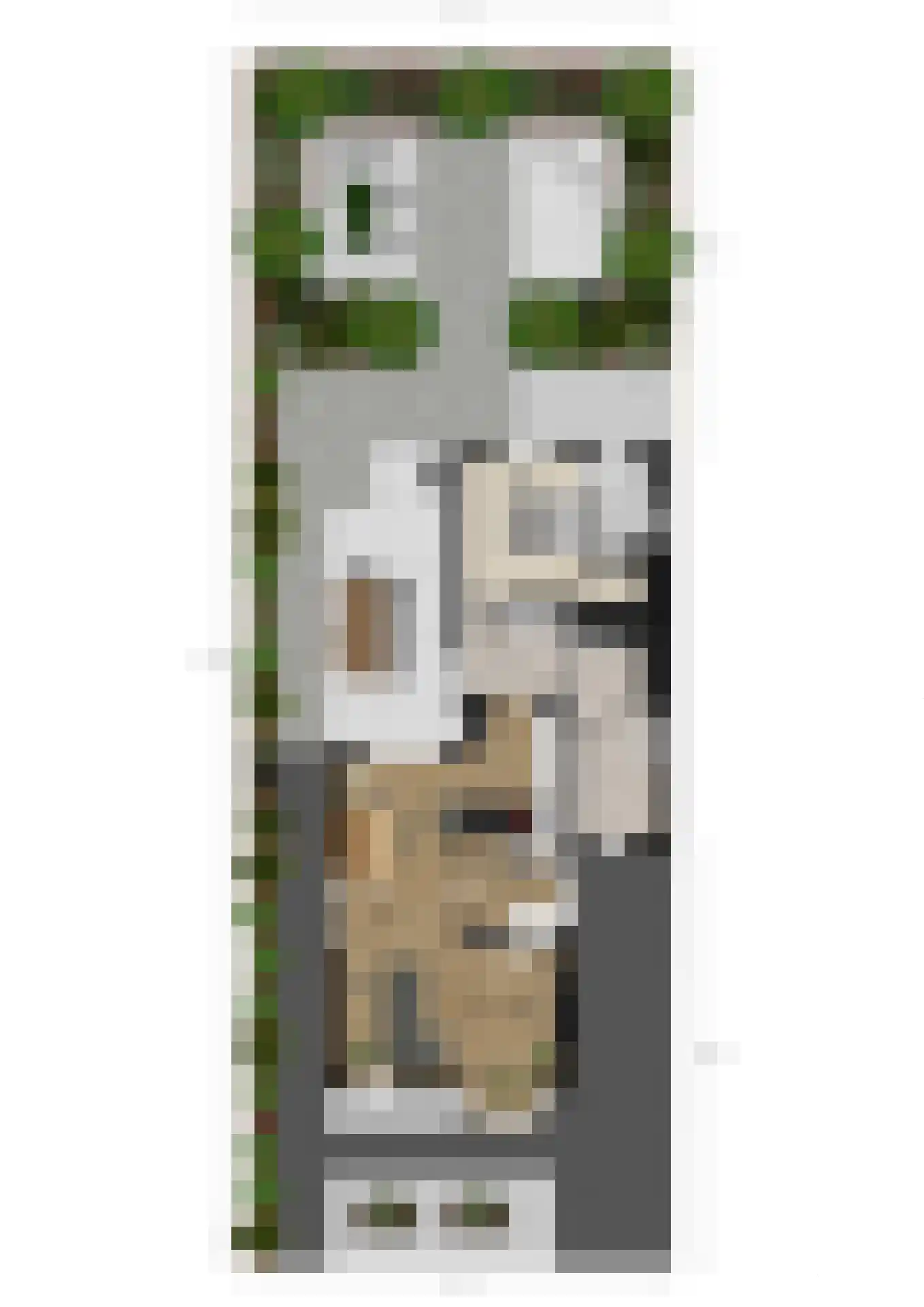 Eemstraat 17 Hengelo thumbnail 52