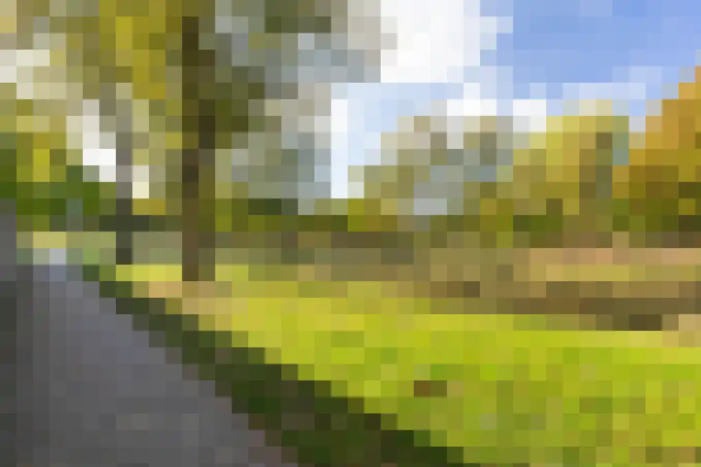 Eemstraat 19 Apeldoorn thumbnail 32