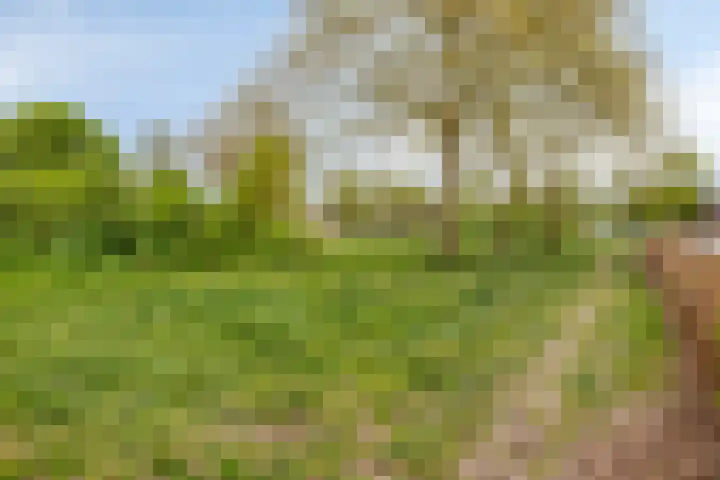 Eemstraat 47 Apeldoorn thumbnail 24