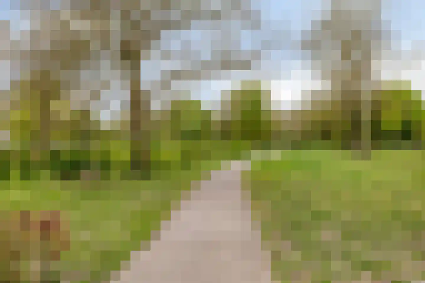Eemstraat 47 Apeldoorn thumbnail 25