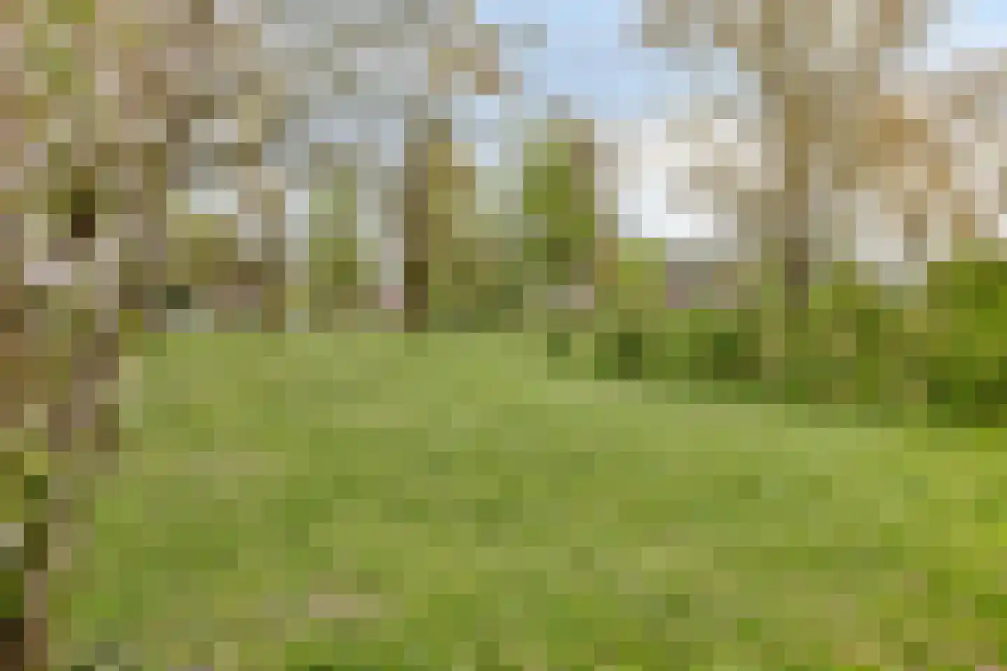 Eemstraat 47 Apeldoorn thumbnail 27