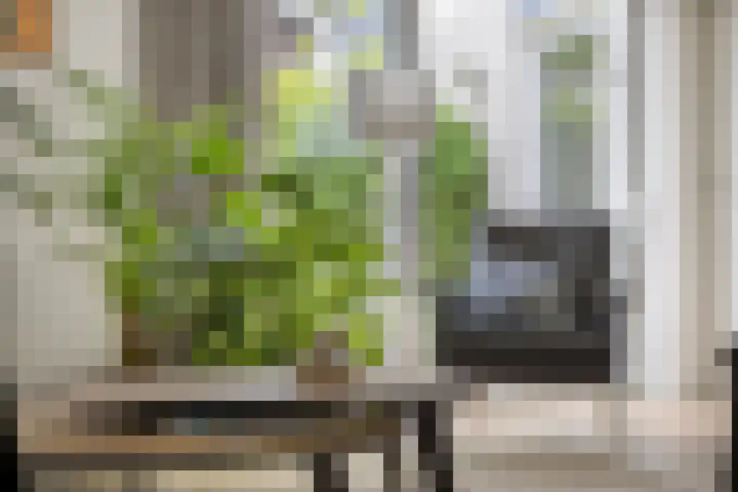 Eemstraat 47 Helmond thumbnail 16