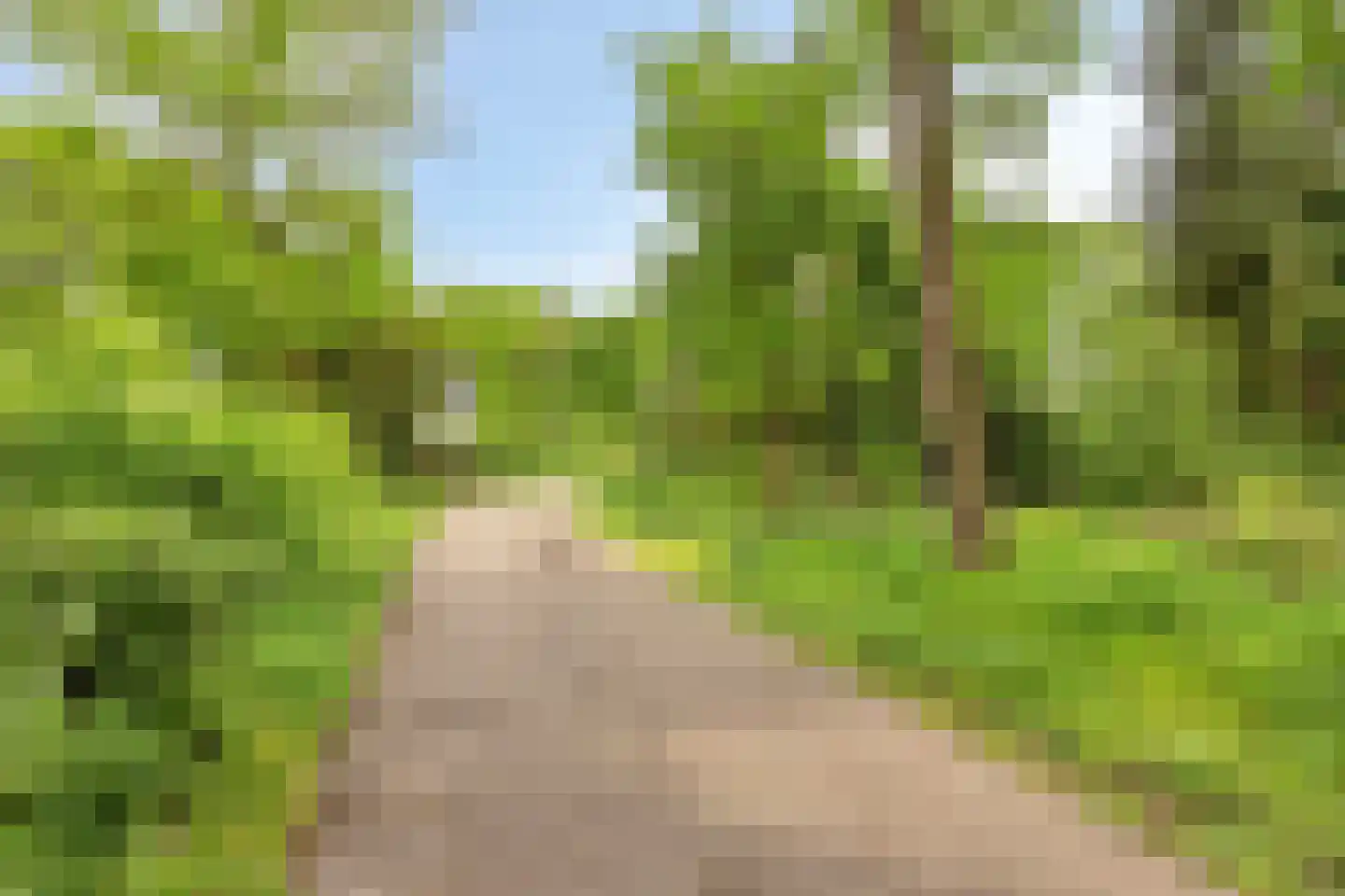 Eemstraat 47 Helmond thumbnail 47
