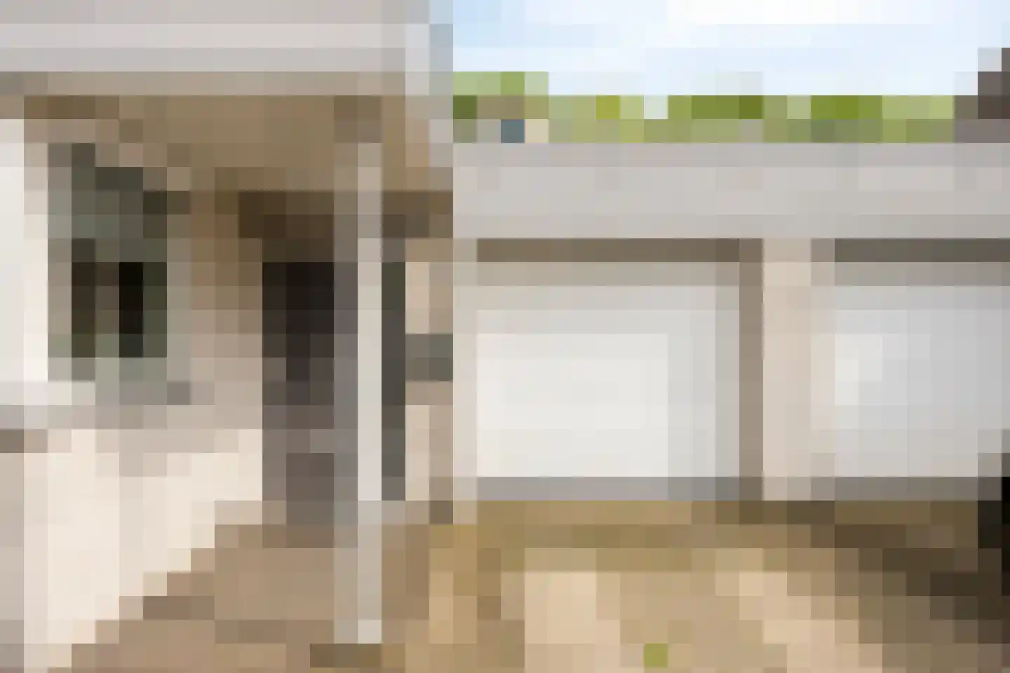 Eemstraat 47 Helmond thumbnail 9