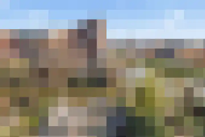 Eemstraat 6 IJsselstein thumbnail 34