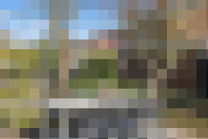 Eemstraat 6 IJsselstein thumbnail 38