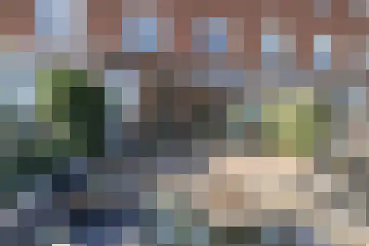 Eemstraat 6 IJsselstein thumbnail 39