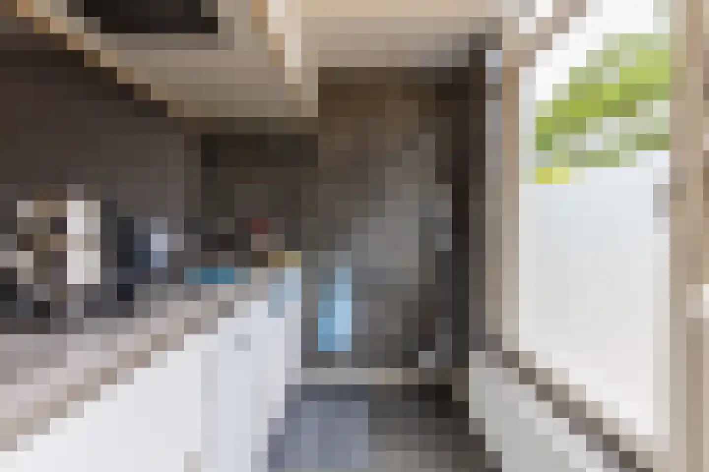 Eemstraat 87 Apeldoorn thumbnail 12
