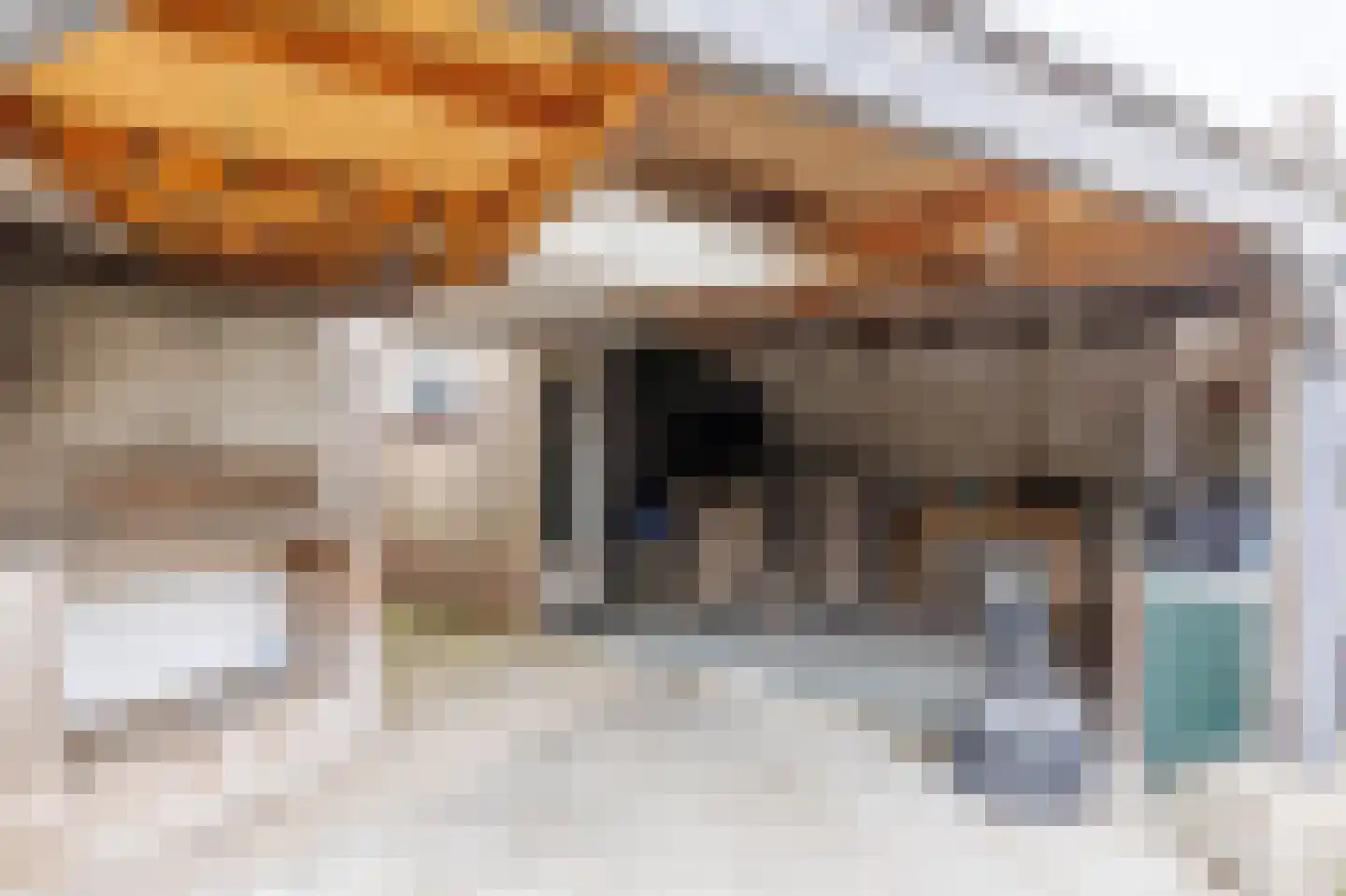 Eemstraat 87 Apeldoorn thumbnail 21