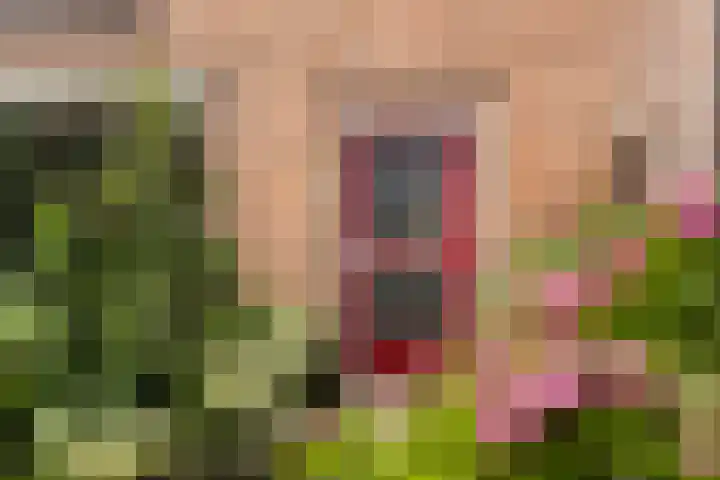 Eemstraat 9 Nieuwendijk thumbnail 10