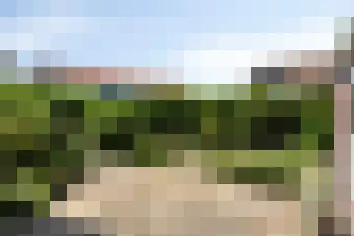 Eemstraat 9 Nieuwendijk thumbnail 34