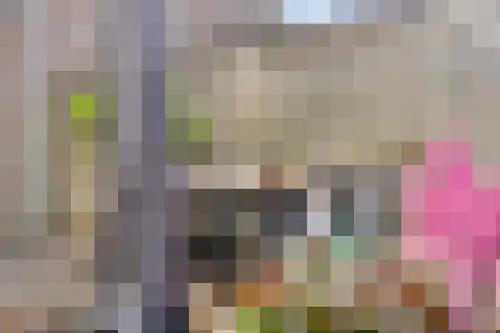 Eemswaard 27 a Groningen thumbnail 31