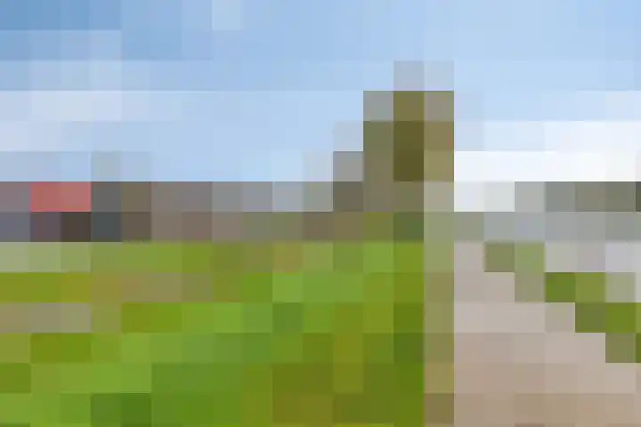 Eemswaard 27 a Groningen thumbnail 5