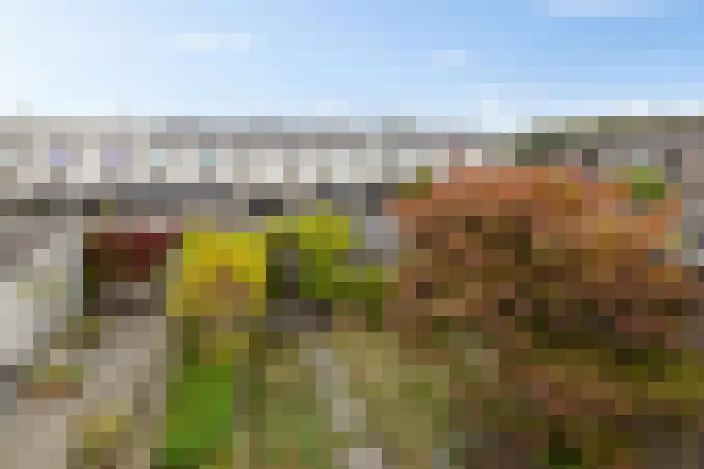 Eemswaard 31 Groningen thumbnail 36