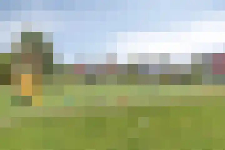 Eemswaard 36 Groningen thumbnail 31