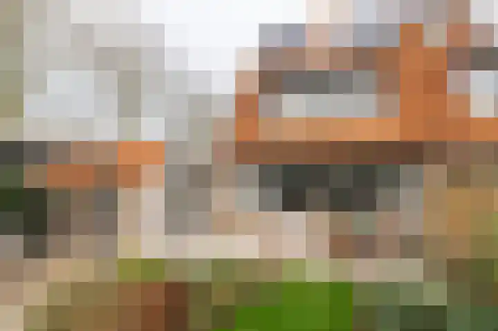 Eemweg 106 Culemborg thumbnail 23