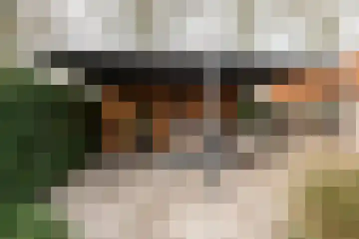 Eemweg 106 Culemborg thumbnail 25