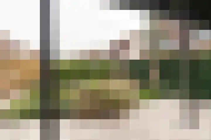 Eemweg 106 Culemborg thumbnail 27