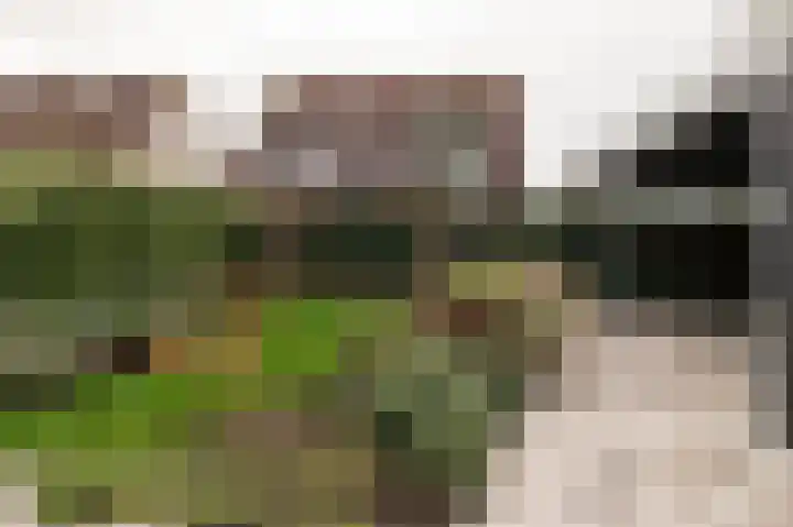 Eemweg 106 Culemborg thumbnail 4