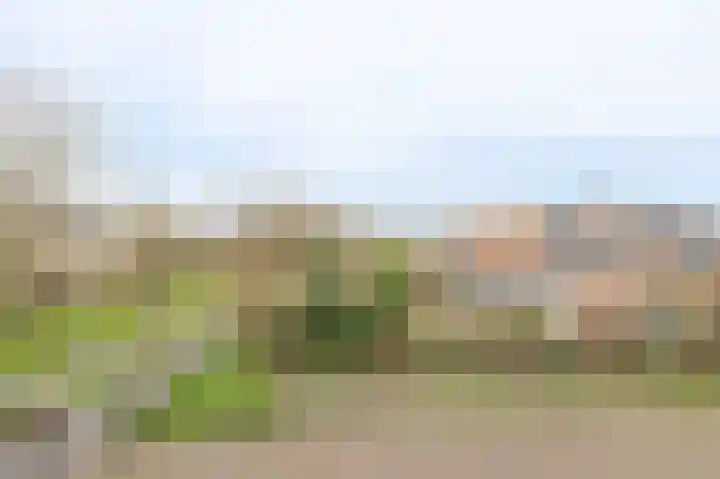 Eemweg 106 Culemborg thumbnail 42