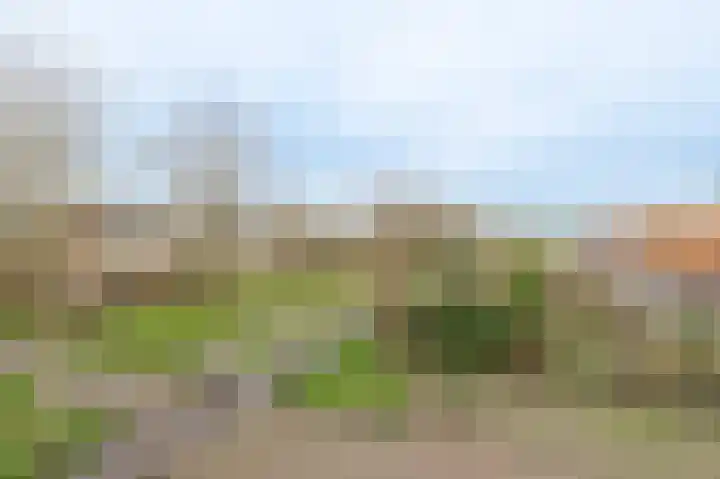 Eemweg 106 Culemborg thumbnail 43