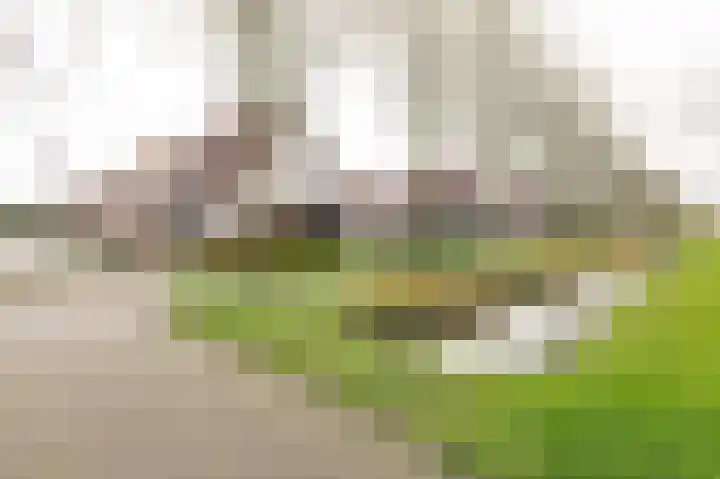Eemweg 106 Culemborg thumbnail 45