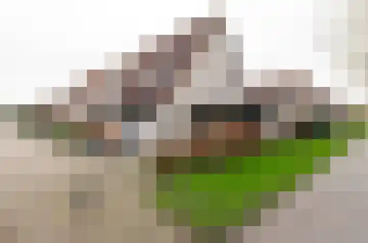 Eemweg 106 Culemborg thumbnail 47