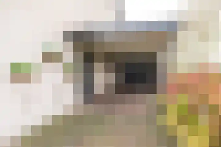 Eemweg 106 Culemborg thumbnail 5