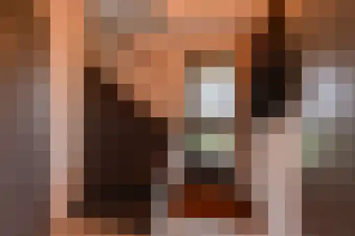 Eemweg 106 Culemborg thumbnail 6