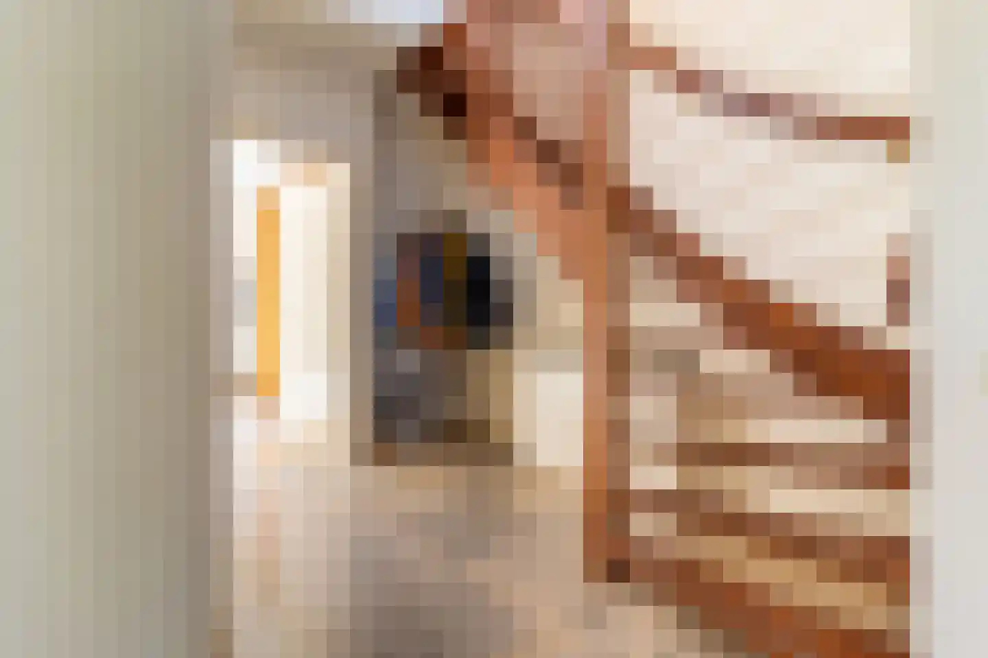 Eemweg 2 Soest thumbnail 13