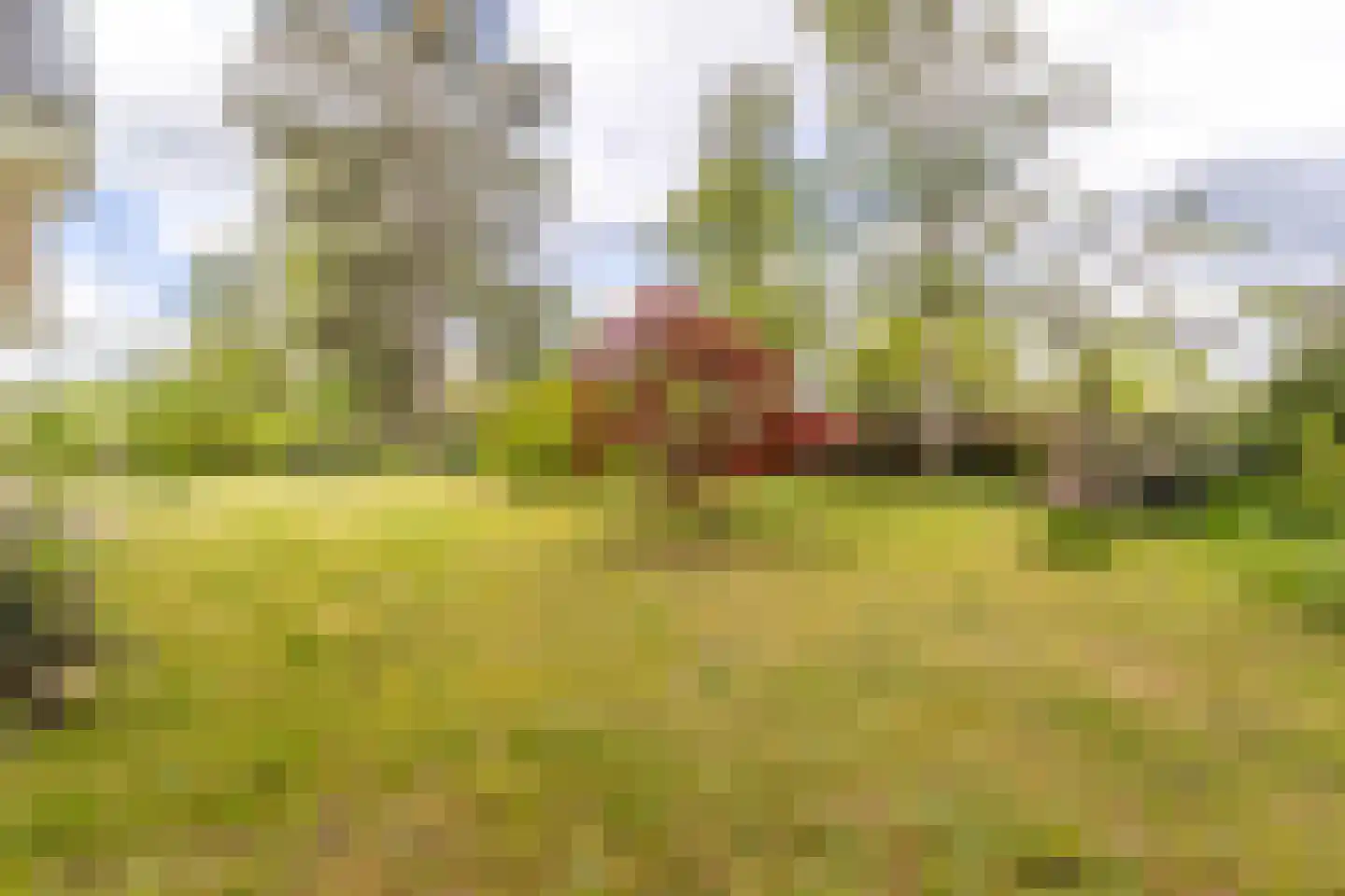 Eemweg 2 Soest thumbnail 23