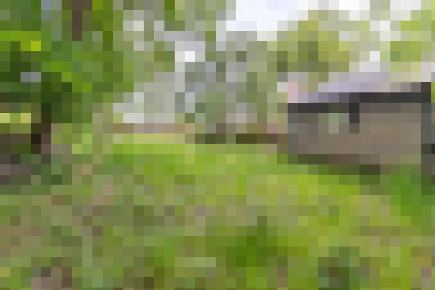 Eemweg 2 Soest thumbnail 29