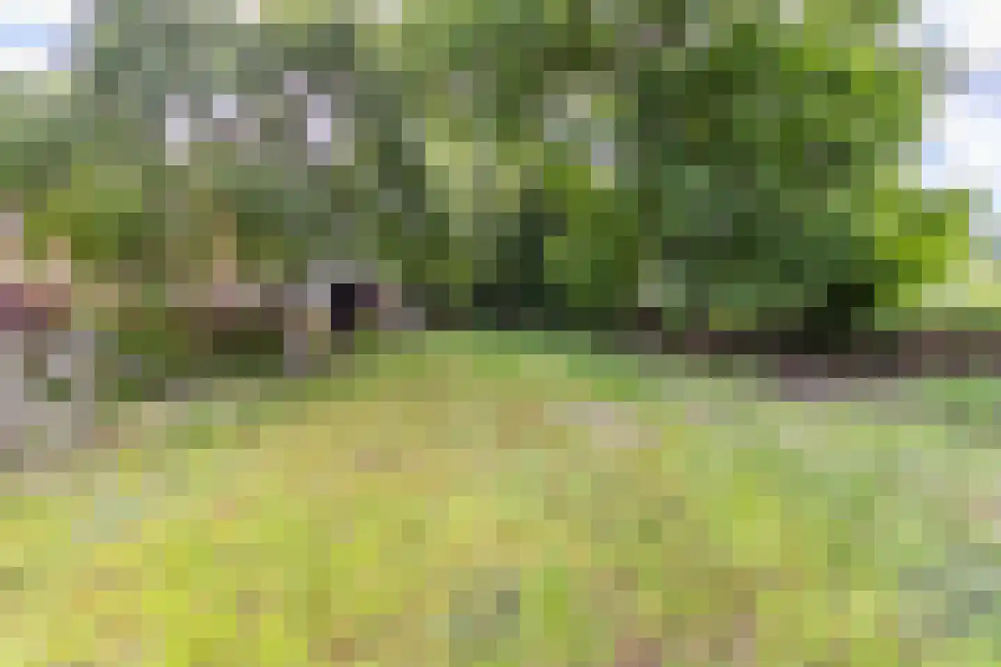 Eemweg 2 Soest thumbnail 30