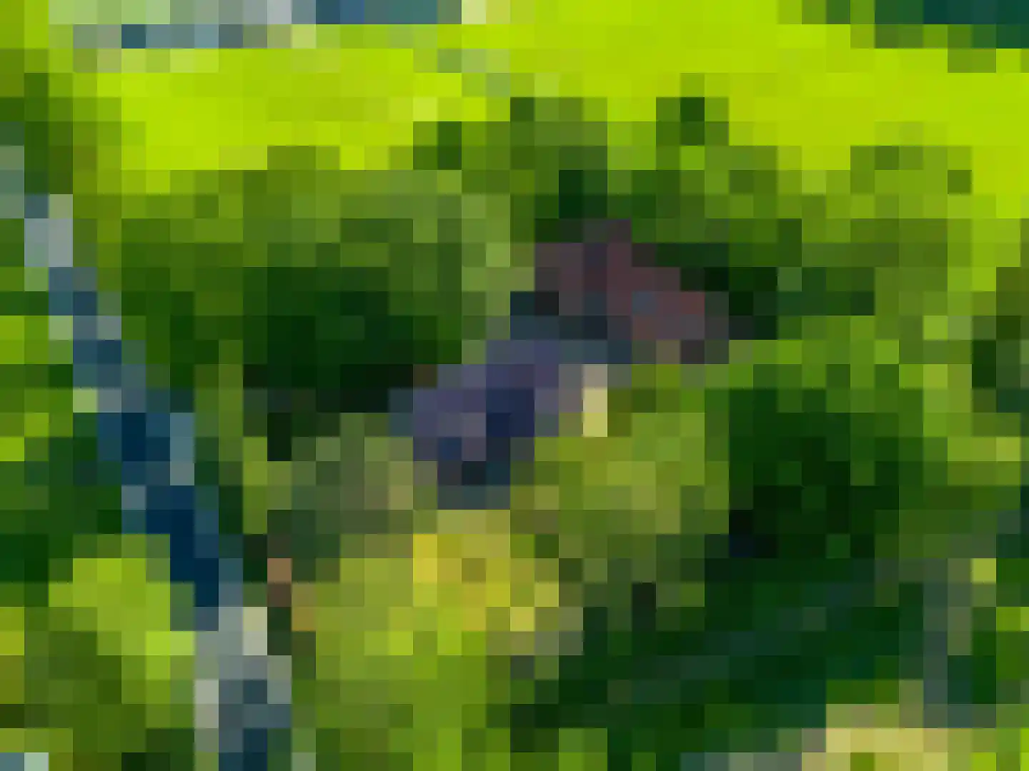 Eemweg 2 Soest thumbnail 38