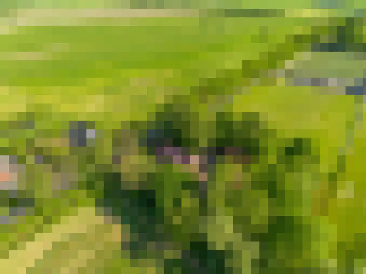 Eemweg 2 Soest thumbnail 39