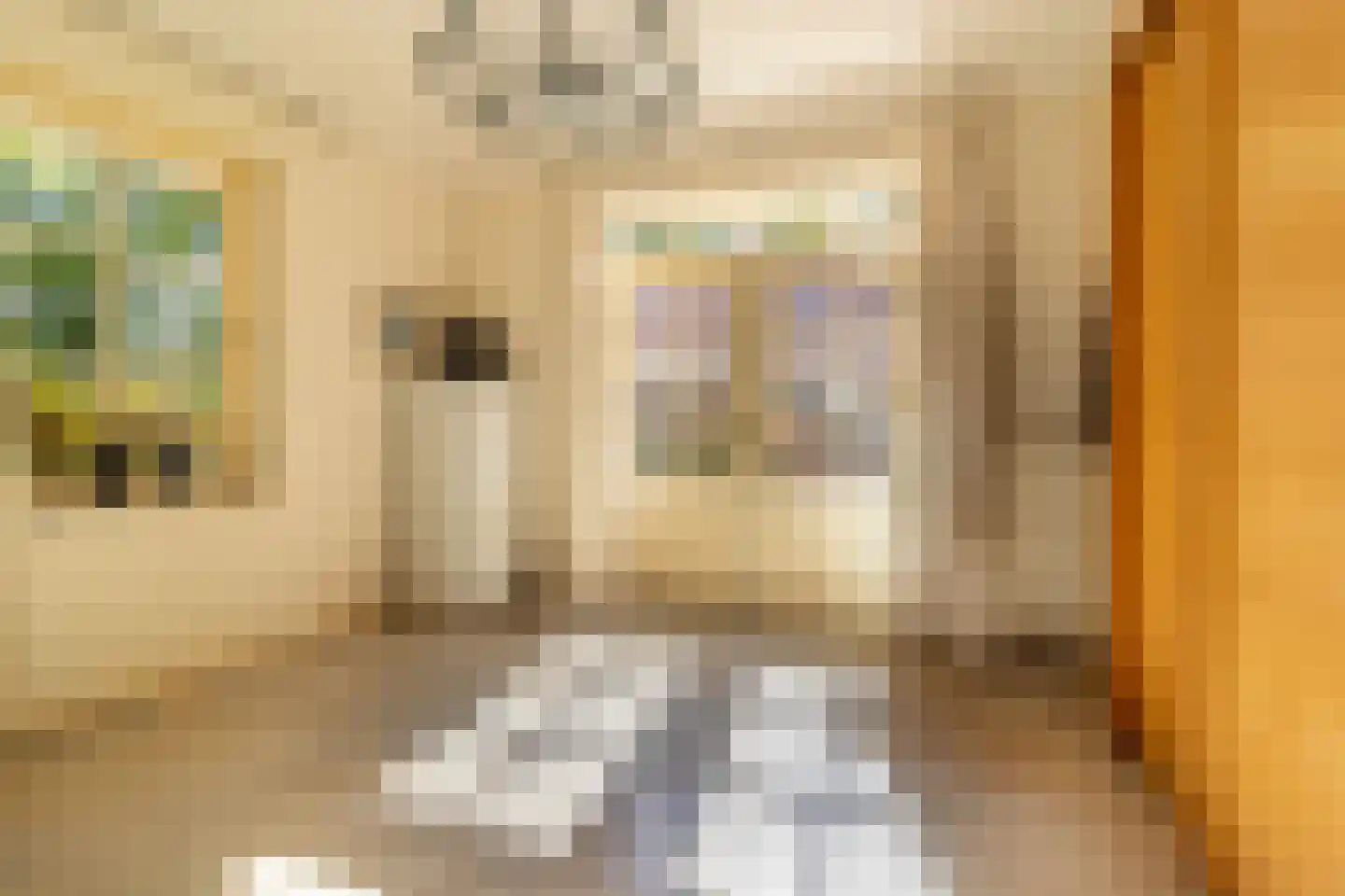 Eemweg 2 Soest thumbnail 9