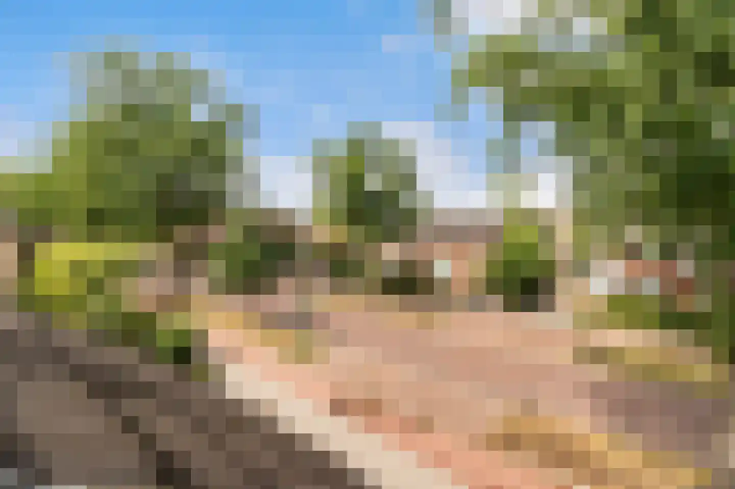 Eemweg 26 Baarn thumbnail 34