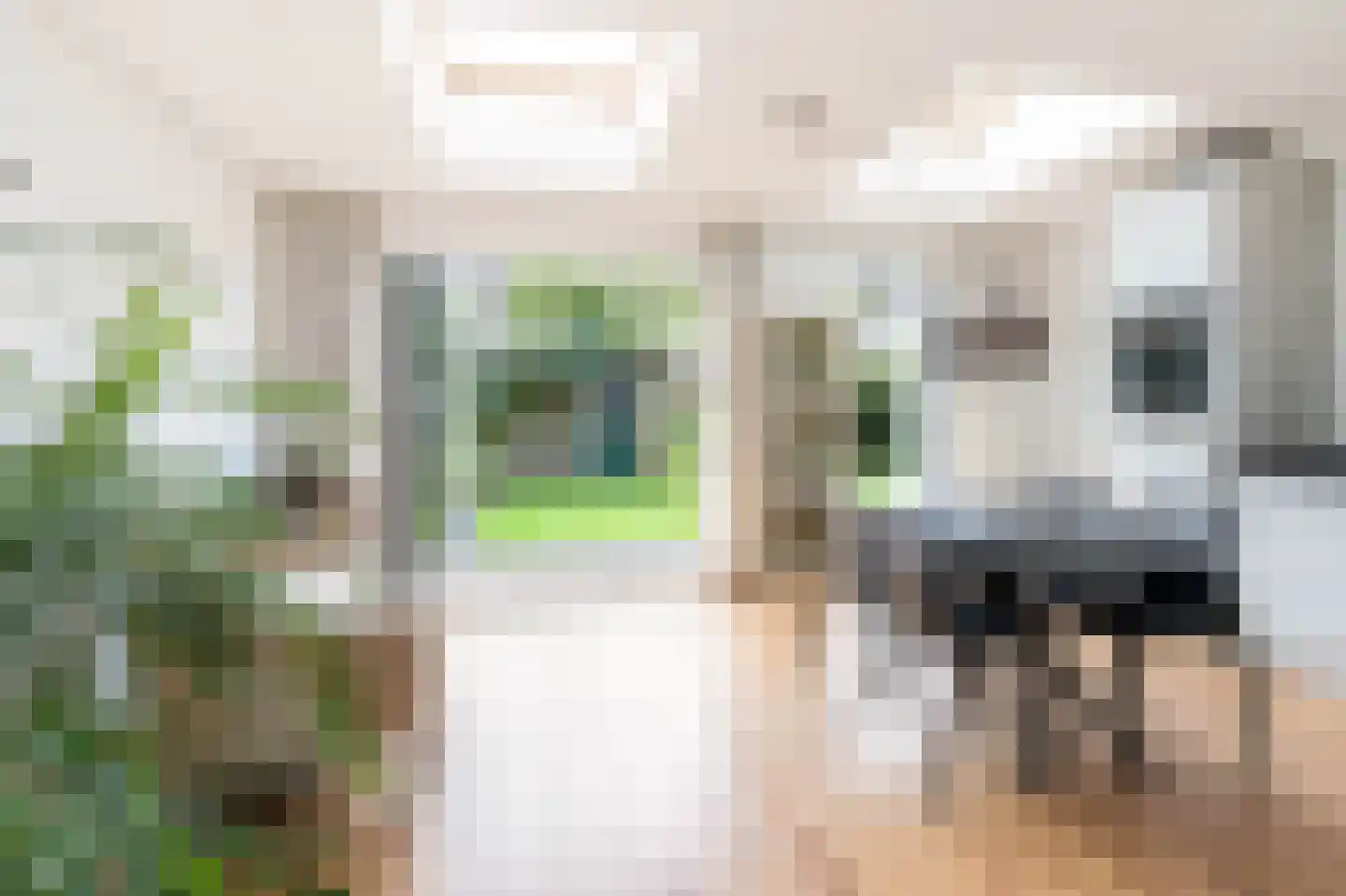 Eemweg 26 Baarn thumbnail 8