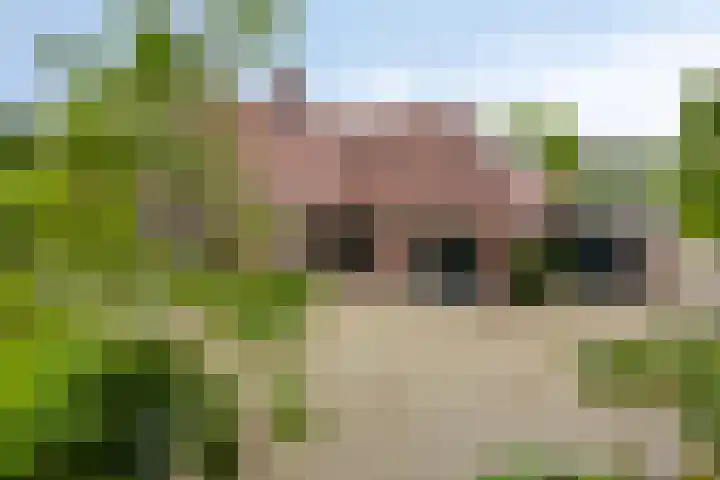 Eemweg 3 Soest