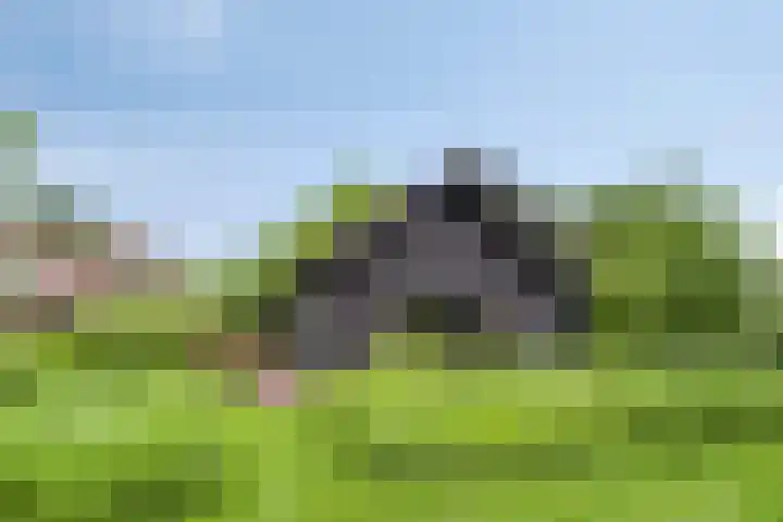 Eemweg 3 Soest thumbnail 33