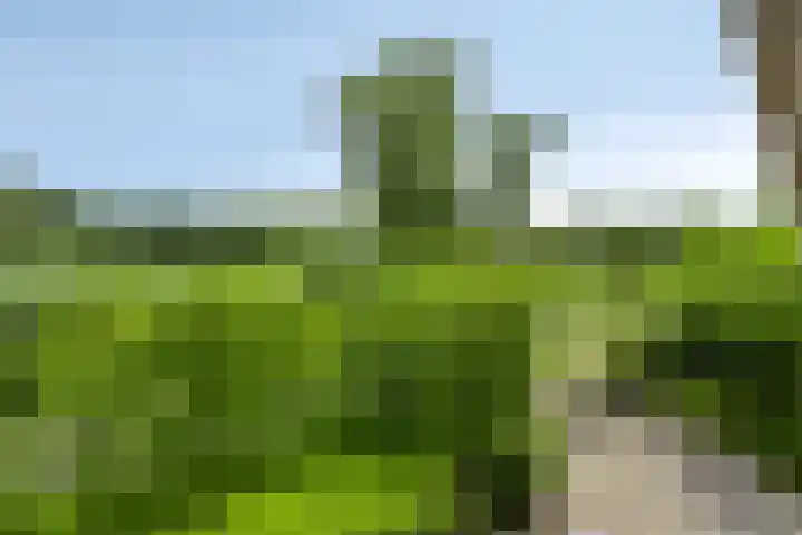 Eemweg 3 Soest thumbnail 44