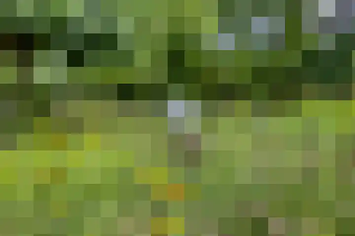 Eemweg 3 Soest thumbnail 48