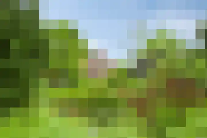 Eemweg 3 Soest thumbnail 51