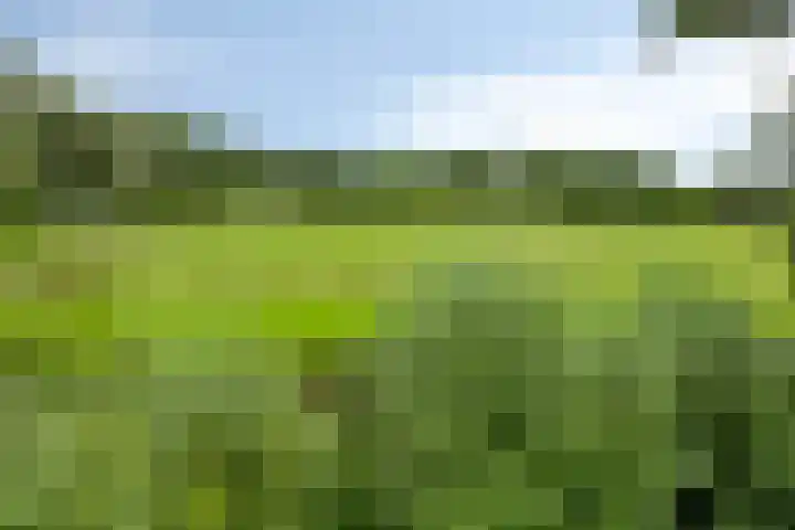 Eemweg 3 Soest thumbnail 55