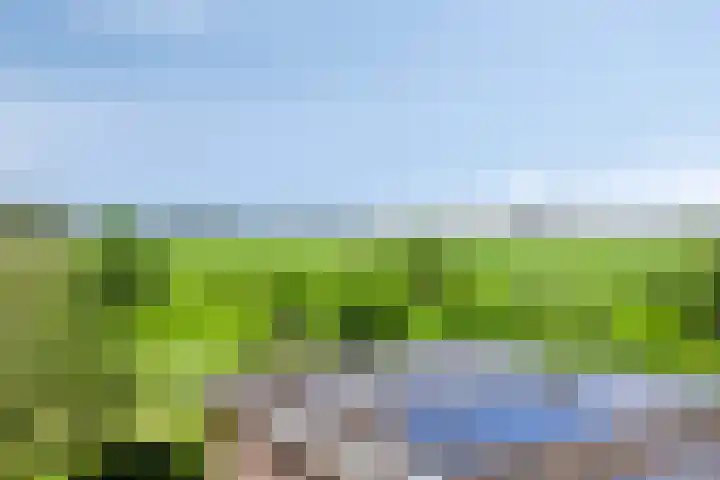 Eemweg 3 Soest thumbnail 57