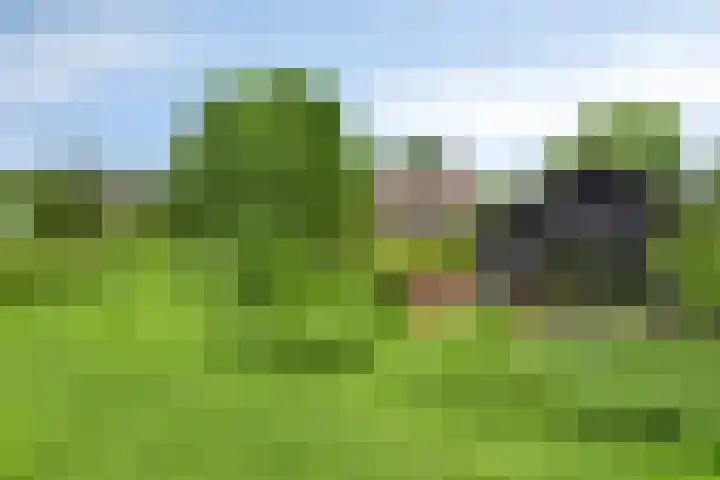 Eemweg 3 Soest thumbnail 58