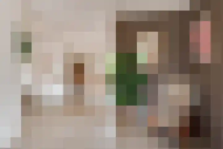 Eemweg 32 Culemborg thumbnail 15