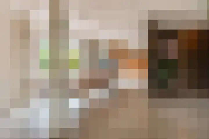 Eemweg 32 Culemborg thumbnail 16