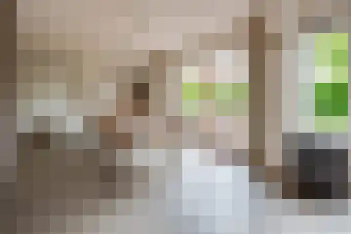 Eemweg 32 Culemborg thumbnail 23