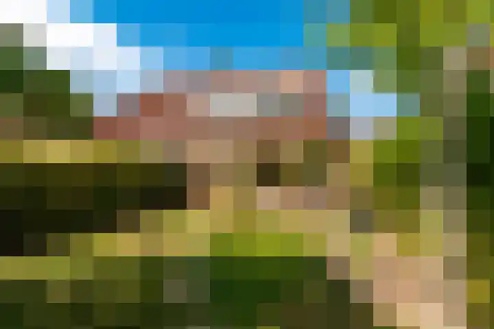 Eemweg 32 Culemborg thumbnail 26